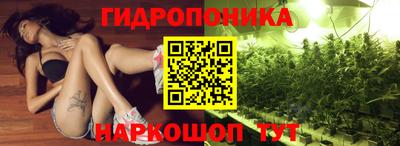 молекула духа Кузнецк