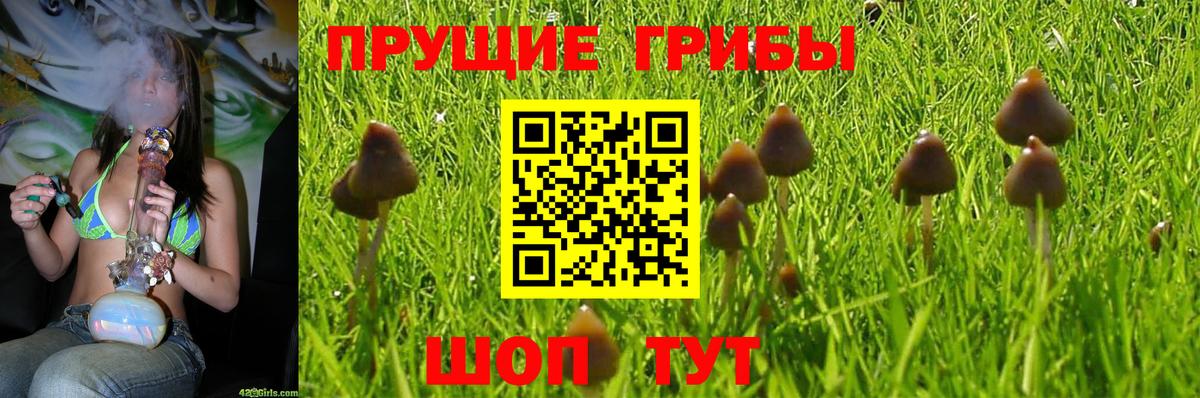Галлюциногенные грибы прущие грибы Тосно