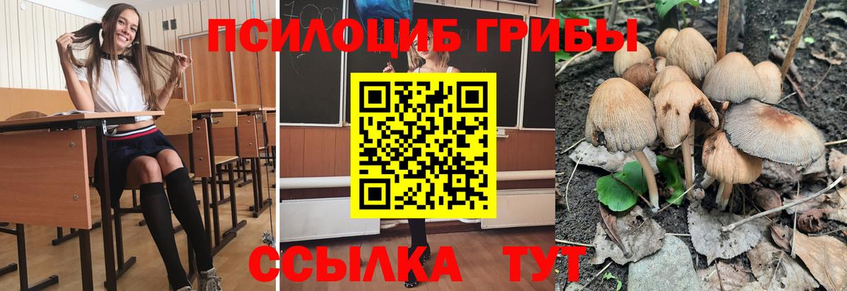 Тосно  Псилоцибиновые грибы мицелий  Вход с VPN 